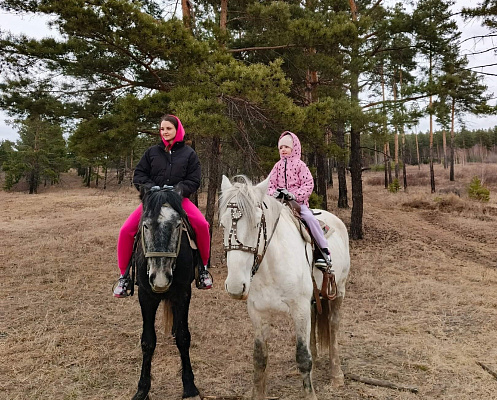 Конная прогулка #в Улан-Удэ#. Подарочные сертификаты Ultra Подарки. Купить оригинальный подарок или подарочный сертификат на Конная прогулка #в Улан-Удэ#. Сервис UltraPodarki.ru 8-800-505-9530. Катание на лошадях, Прогулка на лошади, Прогулка на лошадях для двоих, Конная прогулка, конный клуб, Конный клуб, конная прогулка, конная прогулка #в Улан-Удэ#