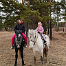 Конная прогулка #в Улан-Удэ#. Подарочные сертификаты Ultra Подарки. Купить оригинальный подарок или подарочный сертификат на Конная прогулка #в Улан-Удэ#. Сервис UltraPodarki.ru 8-800-505-9530. Катание на лошадях, Прогулка на лошади, Прогулка на лошадях для двоих, Конная прогулка, конный клуб, Конный клуб, конная прогулка, конная прогулка #в Улан-Удэ#