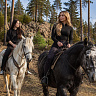 Конная прогулка #в Улан-Удэ#. Подарочные сертификаты Ultra Подарки. Купить оригинальный подарок или подарочный сертификат на Конная прогулка #в Улан-Удэ#. Сервис UltraPodarki.ru 8-800-505-9530. Катание на лошадях, Прогулка на лошади, Прогулка на лошадях для двоих, Конная прогулка, конный клуб, Конный клуб, конная прогулка, конная прогулка #в Улан-Удэ#