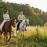 Конная прогулка #в Улан-Удэ#. Подарочные сертификаты Ultra Подарки. Купить оригинальный подарок или подарочный сертификат на Конная прогулка #в Улан-Удэ#. Сервис UltraPodarki.ru 8-800-505-9530. Катание на лошадях, Прогулка на лошади, Прогулка на лошадях для двоих, Конная прогулка, конный клуб, Конный клуб, конная прогулка, конная прогулка #в Улан-Удэ#