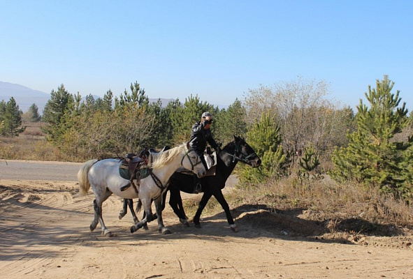 Конная прогулка #в Улан-Удэ#. Подарочные сертификаты Ultra Подарки. Купить оригинальный подарок или подарочный сертификат на Конная прогулка #в Улан-Удэ#. Сервис UltraPodarki.ru 8-800-505-9530. Катание на лошадях, Прогулка на лошади, Прогулка на лошадях для двоих, Конная прогулка, конный клуб, Конный клуб, конная прогулка, конная прогулка #в Улан-Удэ#